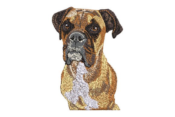 Boxer Dog Embroidery Design Review